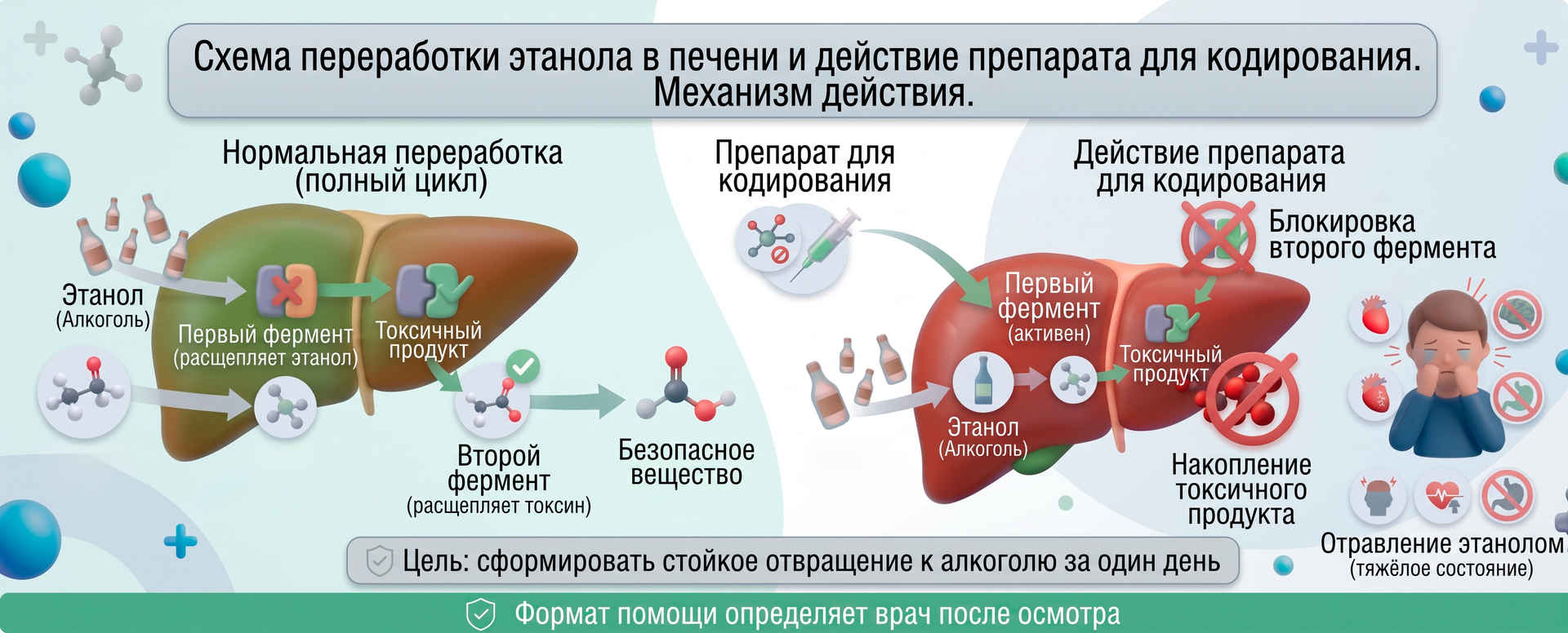 Схема переработки этанола в печени и действие препарата для кодирования: сравнение полного цикла метаболизма алкоголя и блокировки второго фермента с накоплением токсинов