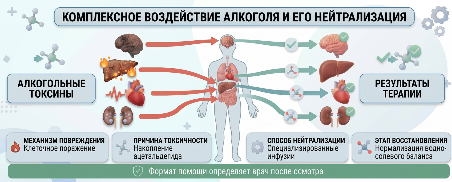 Схема воздействия токсинов алкоголя и нейтрализации инфузиями с демонстрацией повреждения и восстановления органов: мозга, печени, сердца и почек